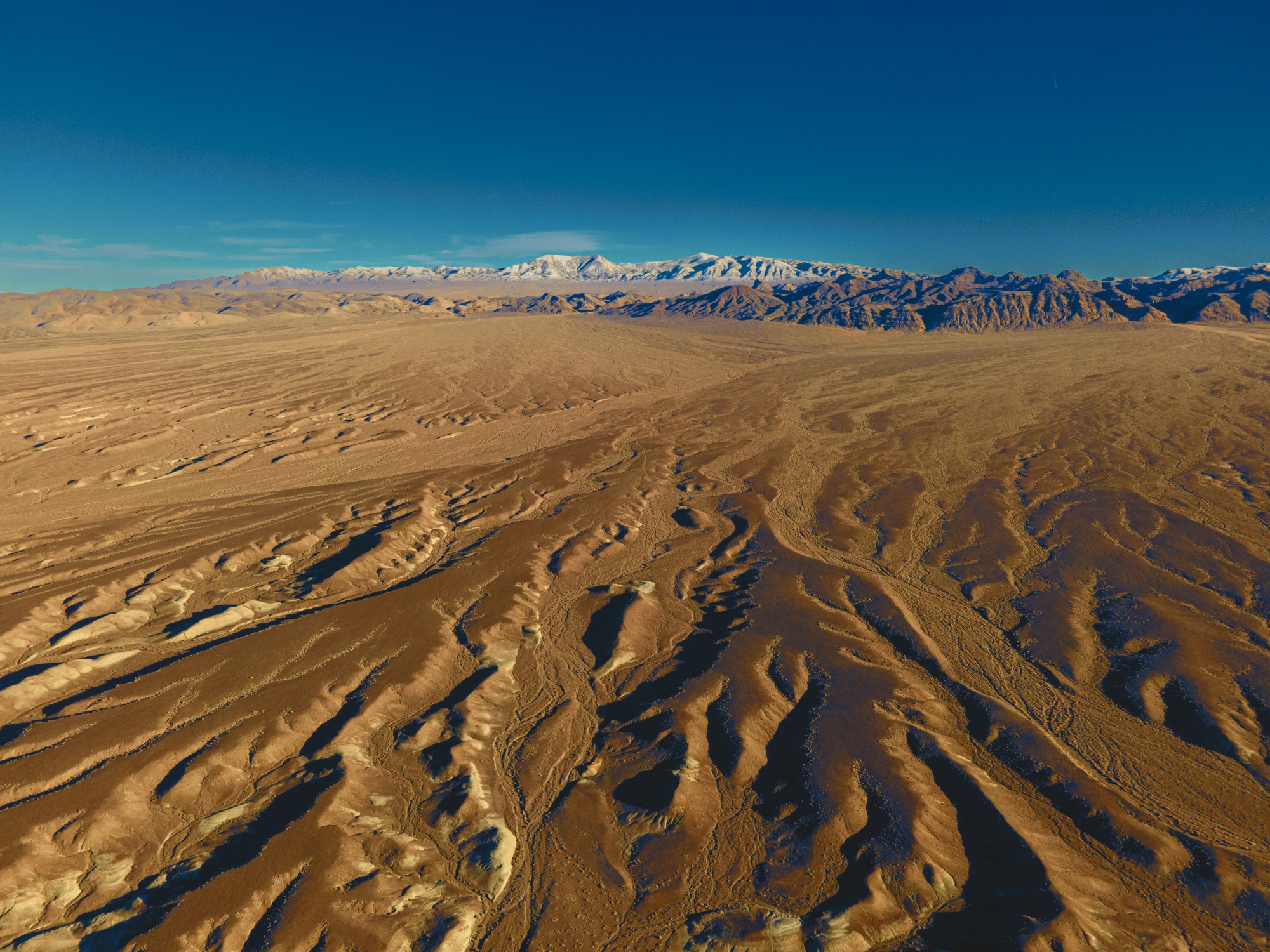 Prime Nevada investment portfolio